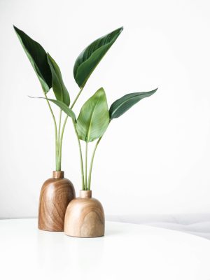 FurniiStore vase set